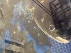 -香山湖渔家大院