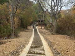 -青龙山国家森林公园