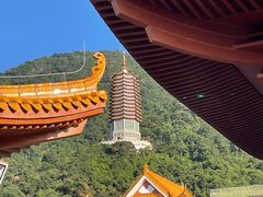 -深圳仙湖植物园
