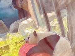 -苏州太湖国家湿地公园