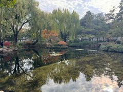 -秋霞圃
