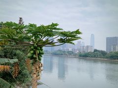-黄埔古港