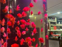 -上島咖啡(安亭店)