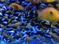 -成都浩海立方海洋公园