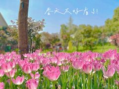-花博汇(知音花月夜)