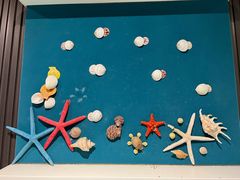 -青岛贝壳博物馆