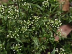 -狼山风景名胜区