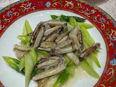 -新光酒家·河豚·海鲜·蟹料理(浦东店)