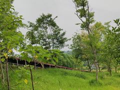 -黄龙溪欢乐田园