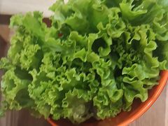 -浪里寻·臻牛养生牛肉火锅(方圆荟店)