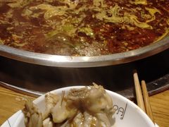 -红牌美蛙鱼头火锅(万辉国际广场店)