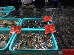 -渔傅·蓝海岸霞浦海鲜(正祥店)
