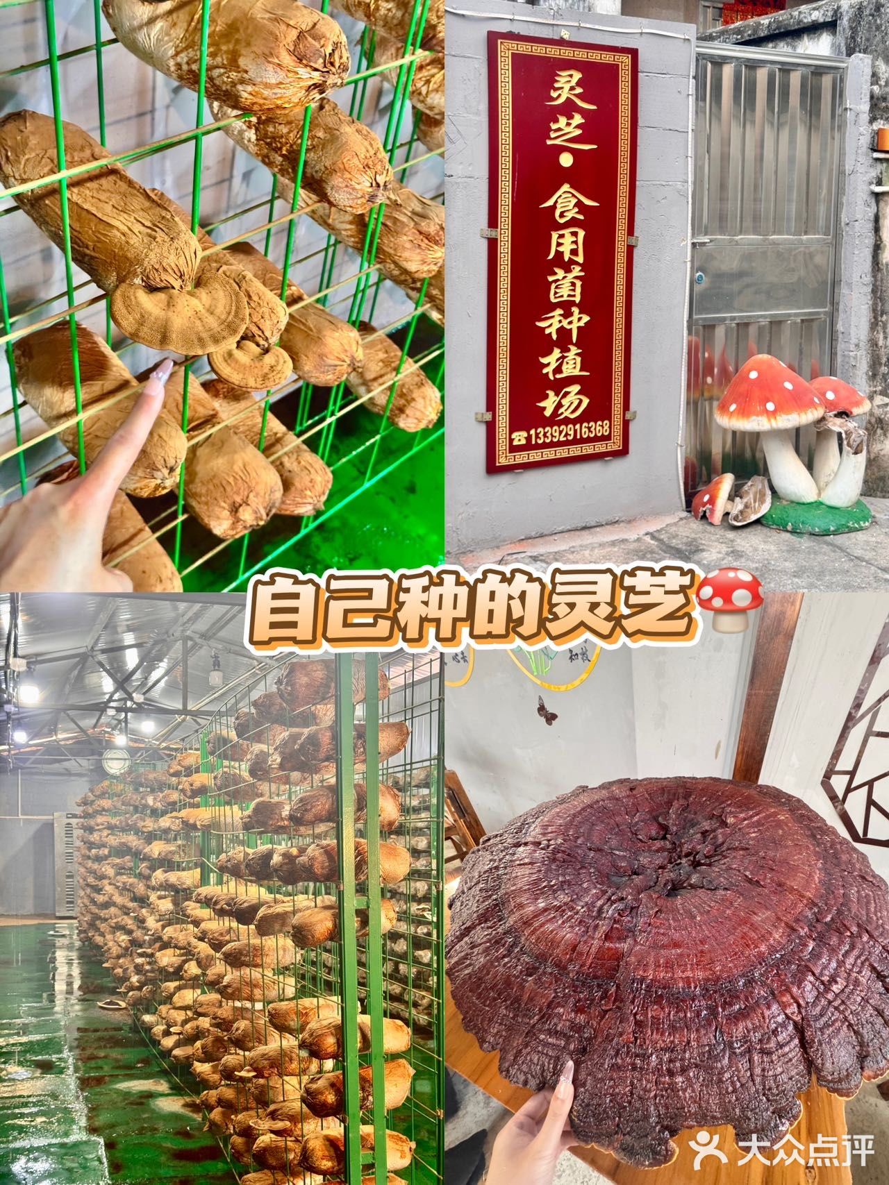 中山｜隐藏在曹边村附近的私房餐厅