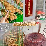 中山｜隐藏在曹边村附近的私房餐厅