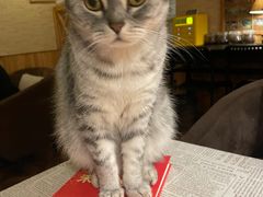 -隅cafe(傅厚岗店)