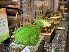 -芭菲盛宴·环球美食(解放碑英利国际店)