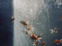 -天河儿童公园