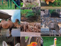 -乐和乐都主题乐园