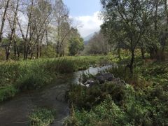 -雾灵西峰