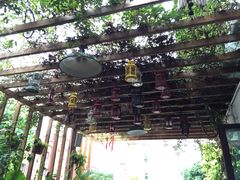 -深圳大旅小舍精品艺术民宿