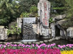 -广州市流溪河国家森林公园