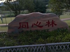-牛岗山公园