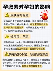 -喜喜月子会所(中酒馆)