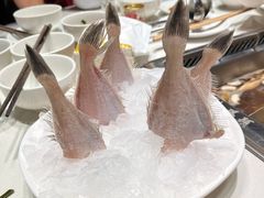 -九码头重庆毛肚火锅(棠岗店)