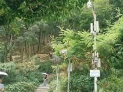 -黔灵山公园