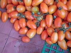 -嘎吧锅私家菜馆(联想科技城店)