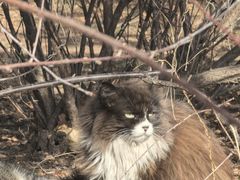 -国家植物园南园