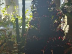 -漪龙台·B26 Rooftop Lounge