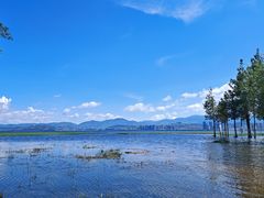 -洱海月湿地公园