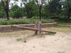 -东郊湿地公园