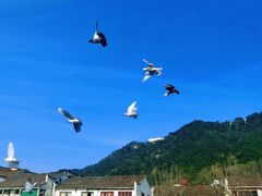 -九华山风景区