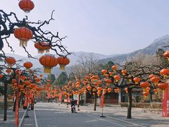 -香山公园