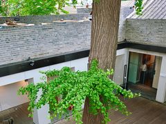-自如ZSPACE四合院艺术餐厅