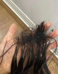 -IP SALON