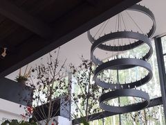 -桉树林A coffee 森林餐厅(三圣乡店)