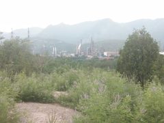 -白水寺森林公园