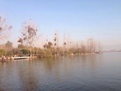 iphone_upload_pic-西昌邛海湿地