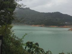 -广州市流溪河国家森林公园
