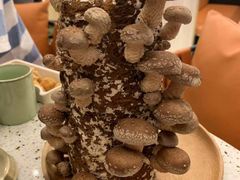 -椰子营·椰子鸡火锅(万象里店)