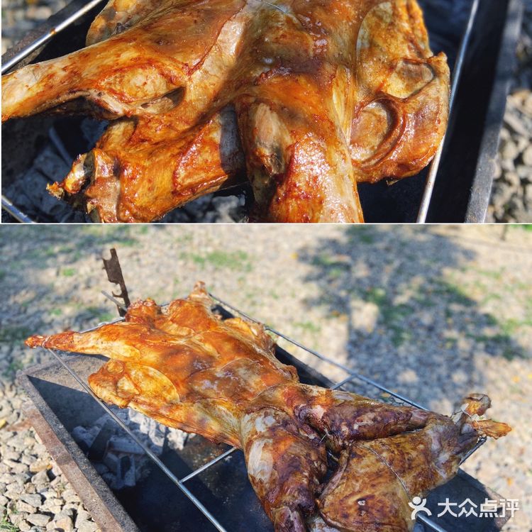 胡导带你游德清 | 布布熊生态农场