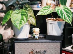 -Dogi&kiki Coffee(中心商务大厦店)