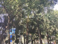 -深圳湾公园(南山区)
