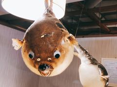 -玄品河豚(那覇國際通里之関)
