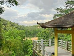 -阳台山森林公园