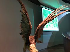 -陕西自然博物馆