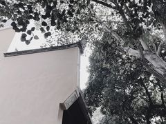 -福州开元寺